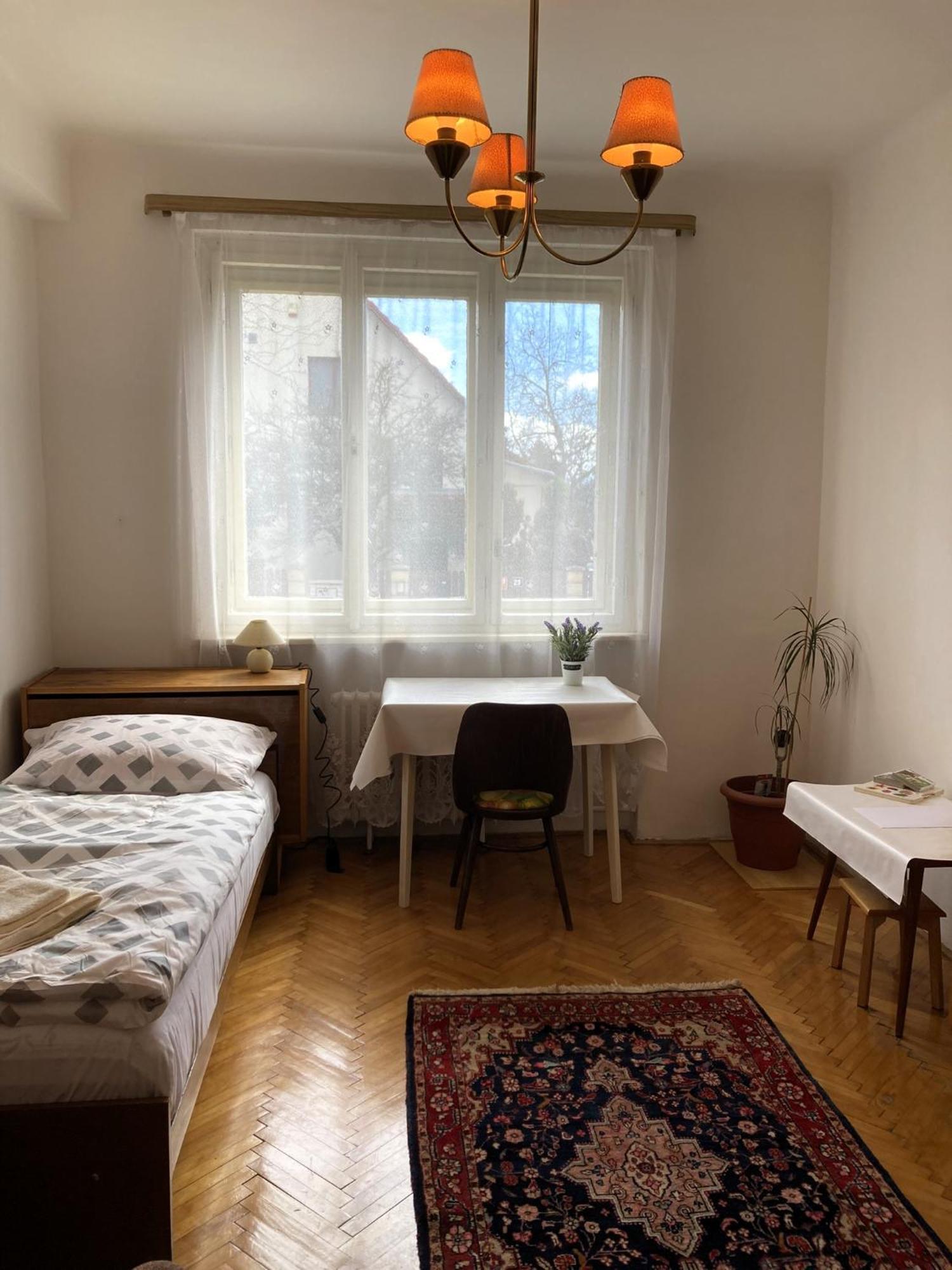 Podkrovní - Na Slovance Apartamento