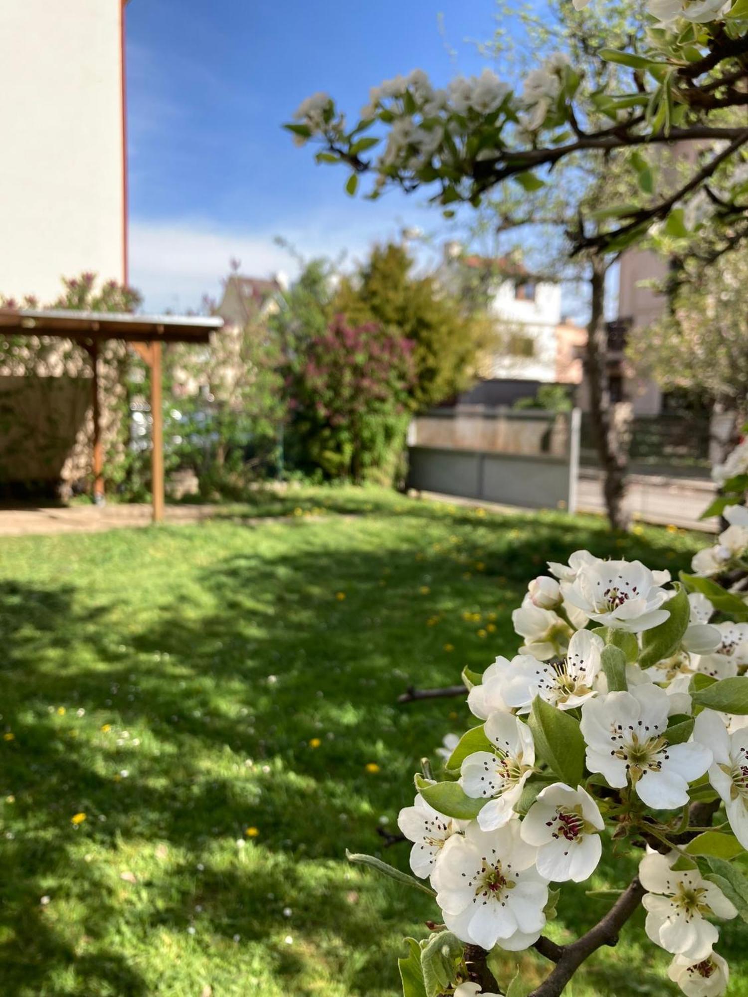 Podkrovní - Na Slovance Apartamento *